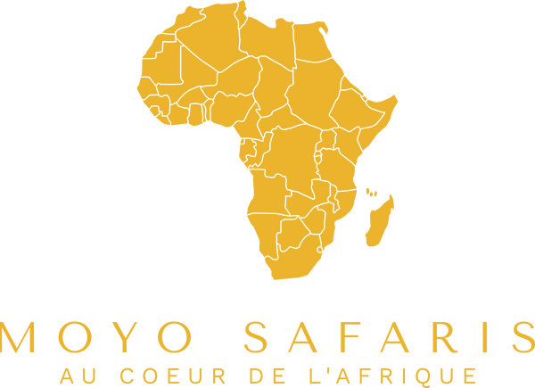 Moyo Safari